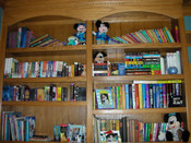 06bookshelf3