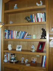 09bookshelf6