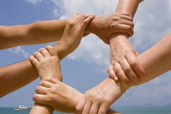 Shutterstock_49177942